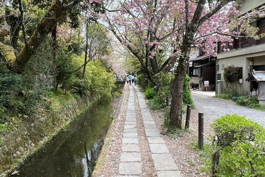 Kyoto Silver Pavilion Private 4-Hour Guided Tour