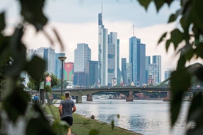 Guided Walking Tour in Frankfurt