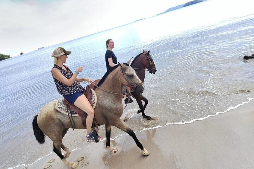 Horseback Riding on the Beach and Trails 2 Hours