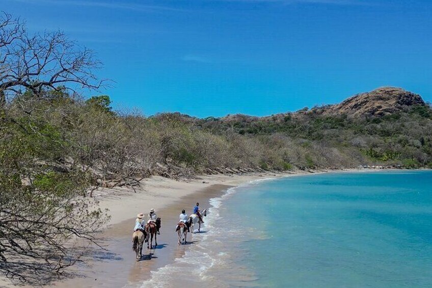 Conchal Beach Horseback Riding. 