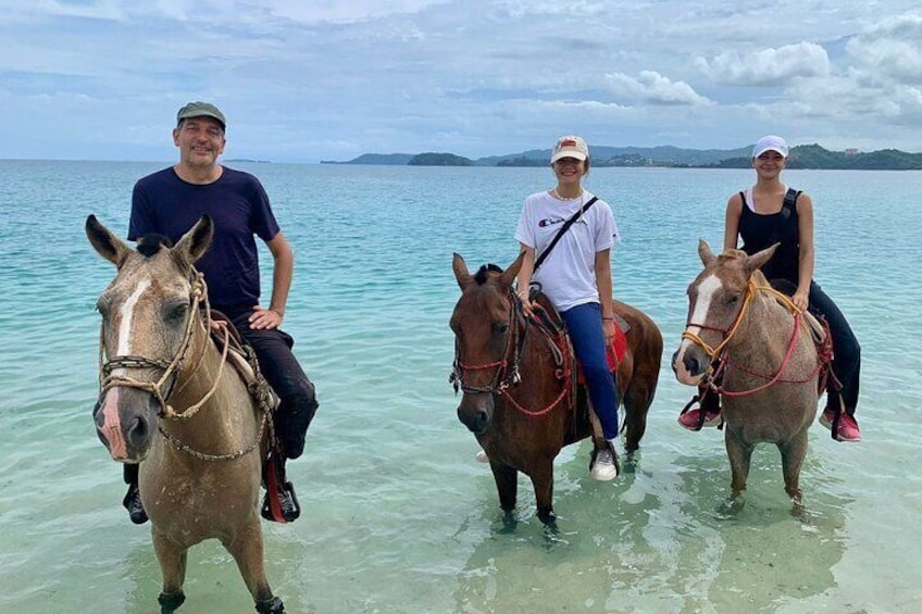 Horseback Riding on the Beach and Trails 2 Hours