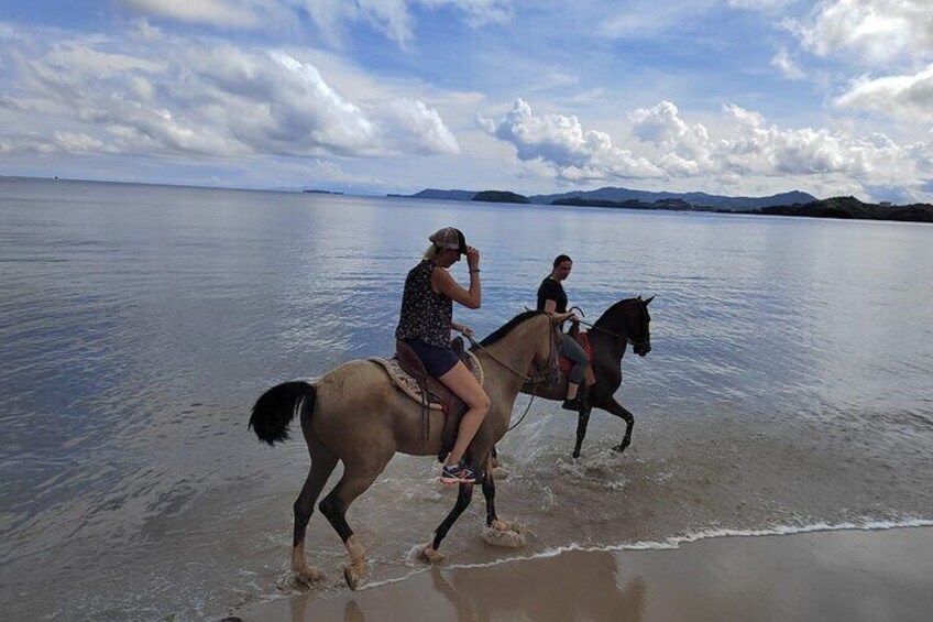 Horseback Riding on the Beach and Trails 2 Hours