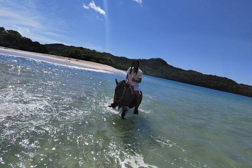 Horseback Riding on the Beach and Trails 2 Hours