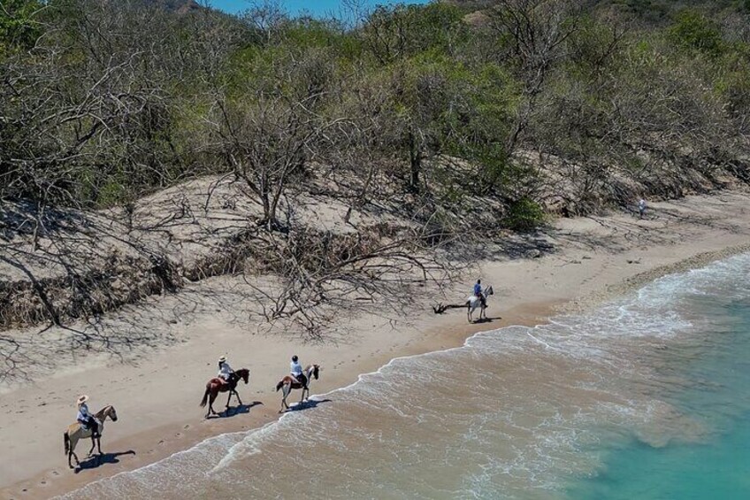 Conchal Beach Horseback Riding. 