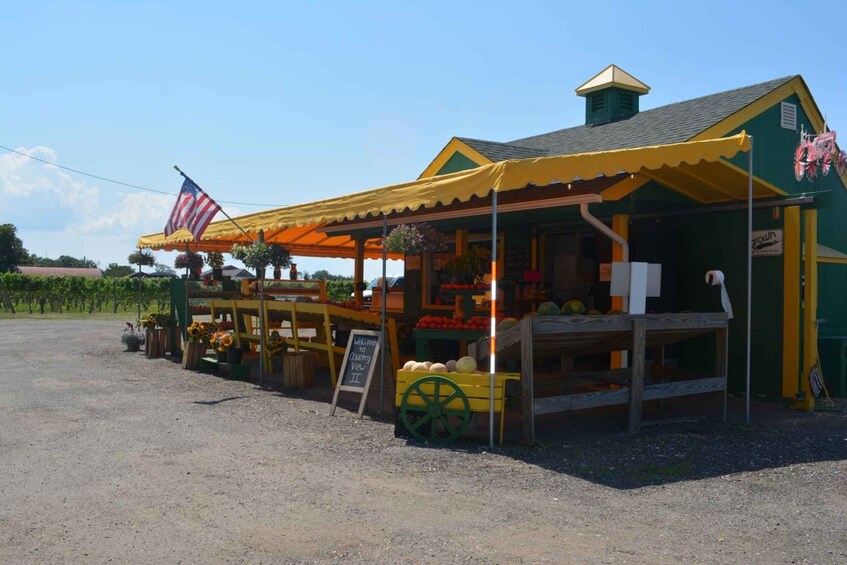 Picture 2 for Activity From Mattituck: Guided Brewery and Vineyard Tour by Bicycle