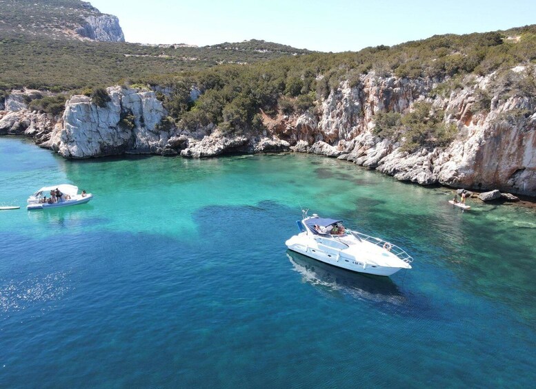 Picture 13 for Activity From Alghero: private day boat trip to Porto Conte Park