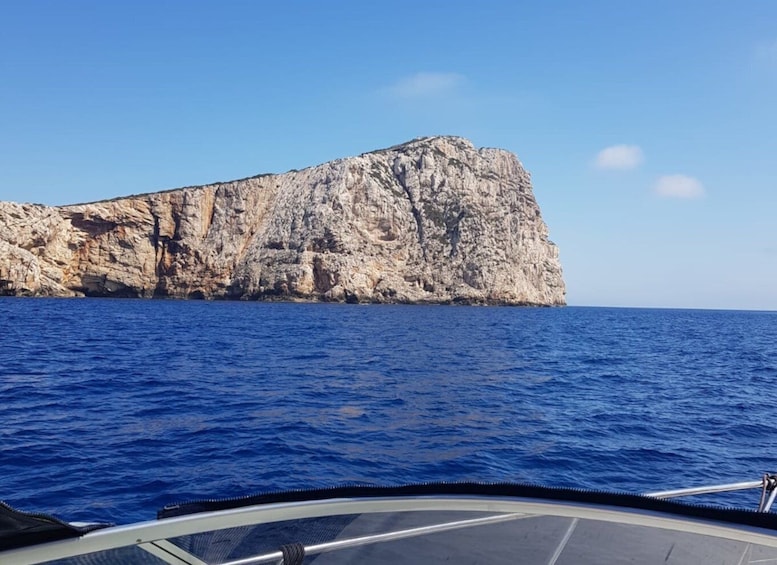 Picture 4 for Activity From Alghero: private day boat trip to Porto Conte Park