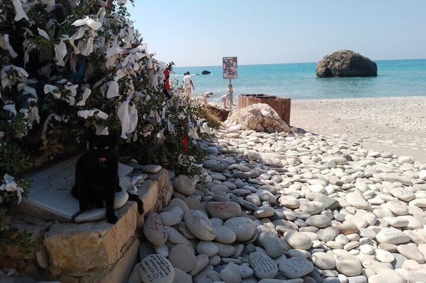  Aphrodite Rocks and Archeological Kourion from Limassol 