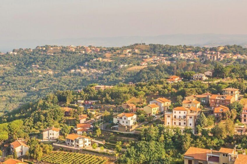 Alta Tuscia eBike Tour with Visit to Antica Cantina Leonardi