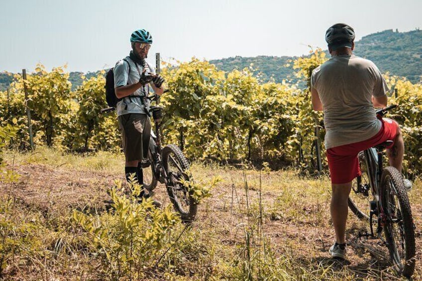 Alta Tuscia eBike Tour with Visit to Antica Cantina Leonardi