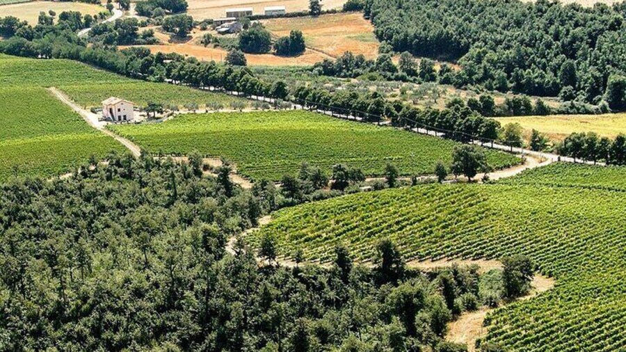 Alta Tuscia eBike Tour with Visit to Antica Cantina Leonardi