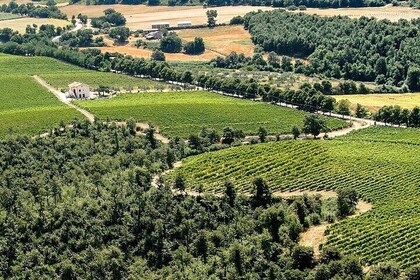 Alta Tuscia eBike Tour with Visit to Antica Cantina Leonardi