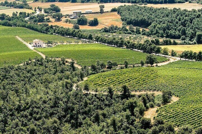 Alta Tuscia eBike Tour with Visit to Antica Cantina Leonardi