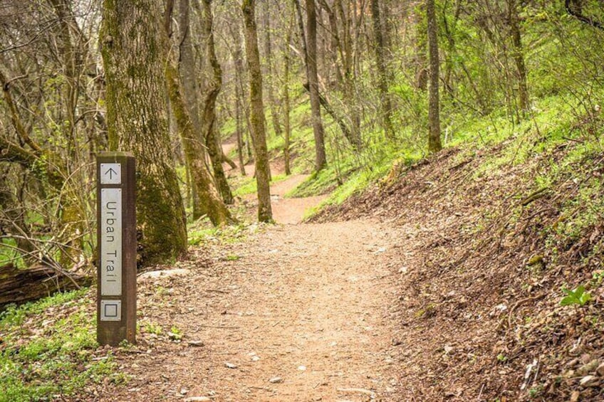American Bentonville Single Track Tour