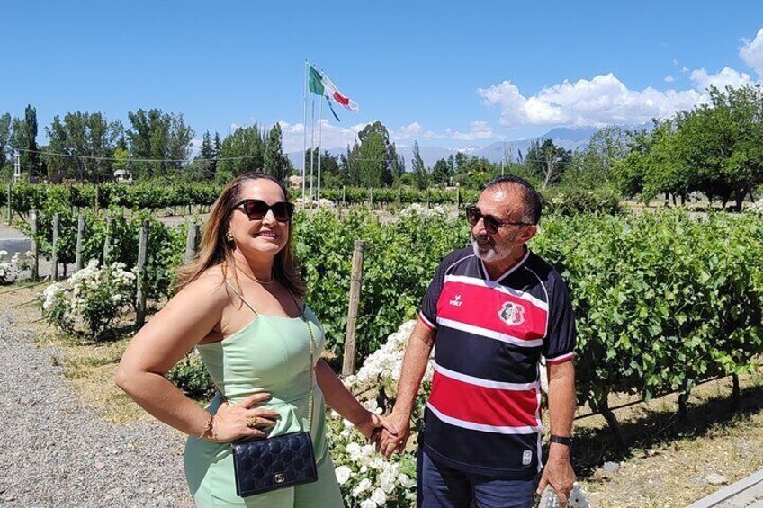 Private Tour to the wineries in Valle de Uco - All inclusive!