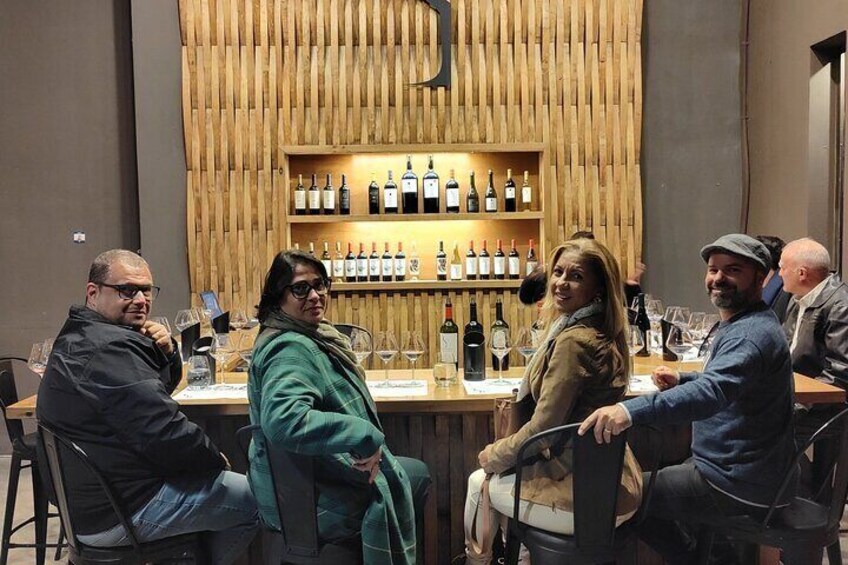 Private Tour to the wineries in Valle de Uco - All inclusive!