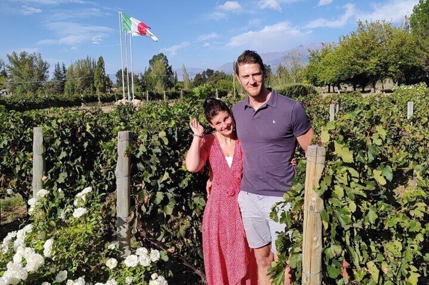 Private Tour to the wineries in Valle de Uco - All inclusive!