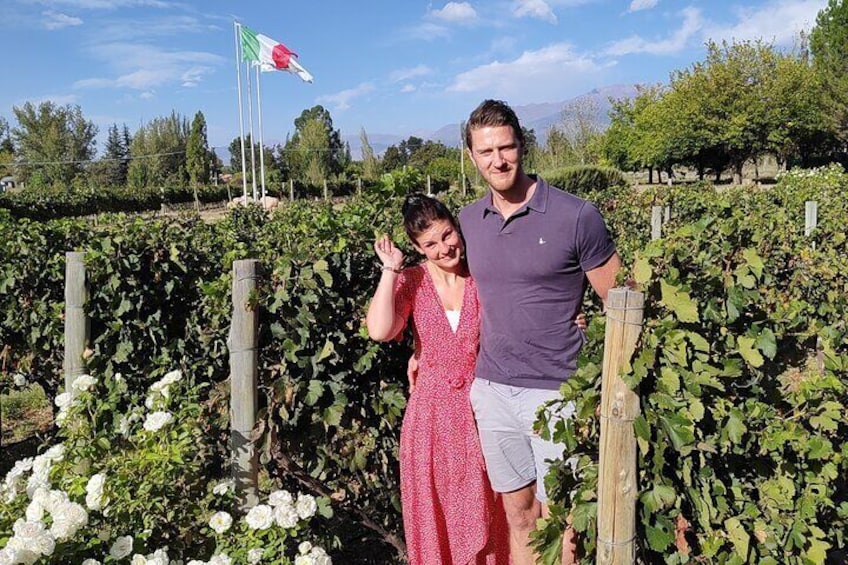 Private Tour to the wineries in Valle de Uco - All inclusive!