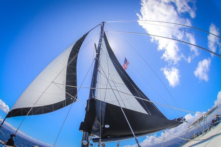 We hoist the sails after snorkeling and lunch, and head back to Ka'anapali Beach.