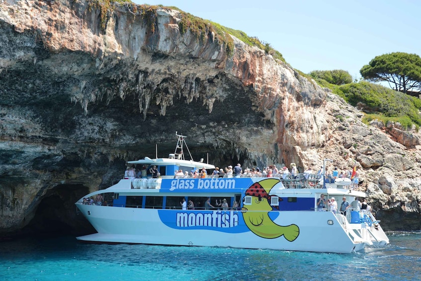 Picture 1 for Activity Mallorca: Glass-Bottom Catamaran Along the East Coast