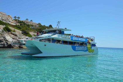 Mallorca: Catamaran met glazen bodem langs de oostkust