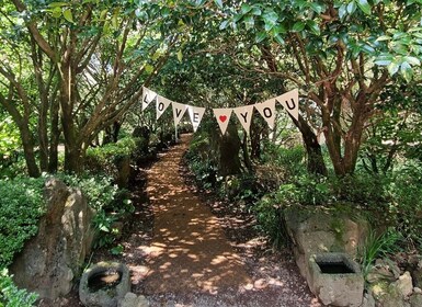 West & South Jeju: Hallasan Trail, Waterfall, Tea Field Tour