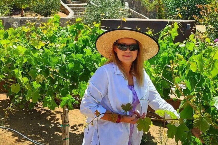 Betty at the Hacienda Eco-Domes grape vineyard. We have 3 vineyards and 3 full vegetable and herb gardens