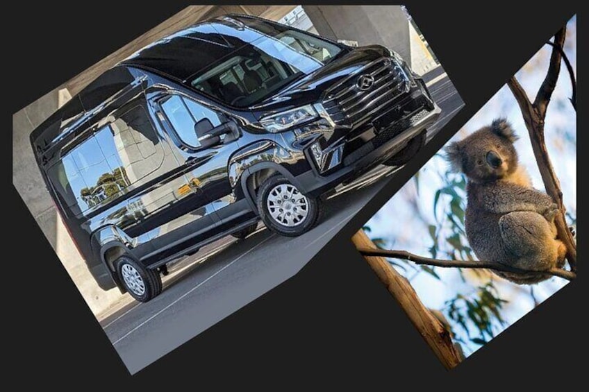 Great Ocean Road Reverse Luxury Tour 13Px SmallGroup-Hotel PickUP