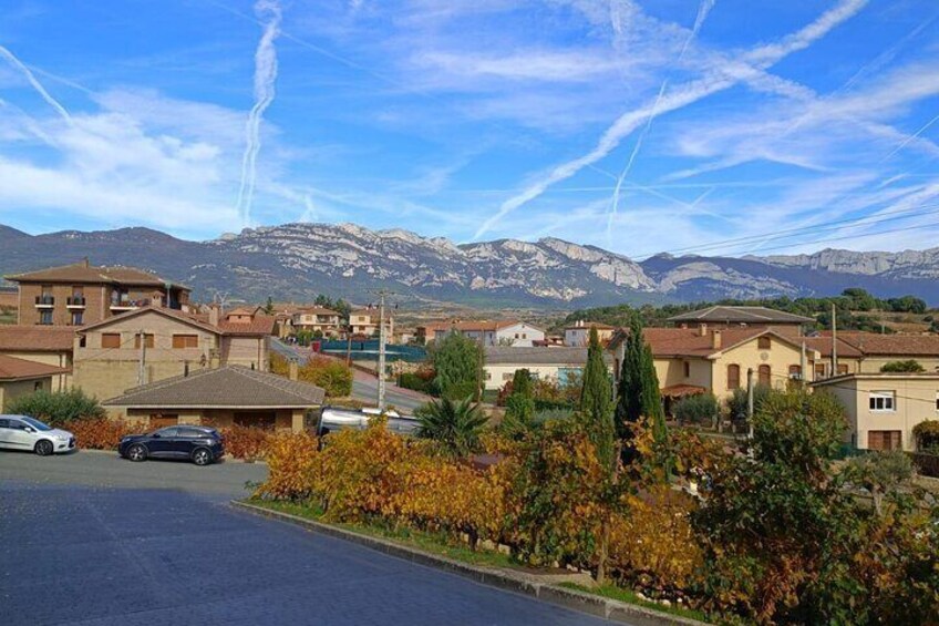Explore Rioja's Essence: 3 Top Wineries & Gourmet Lunch
