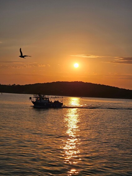 Picture 4 for Activity Sunset finds dolphins