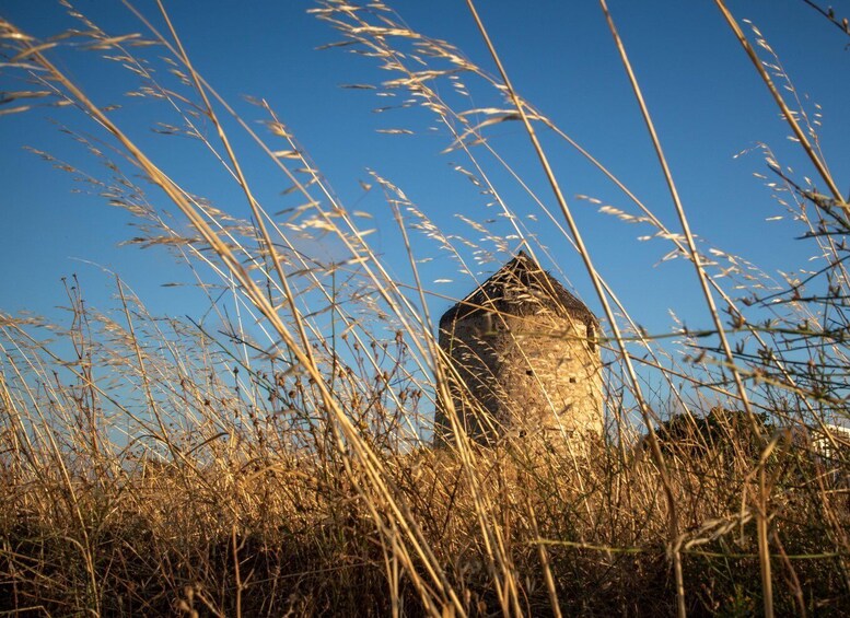 Picture 1 for Activity Naxos: Photography session for 2 hours. . .