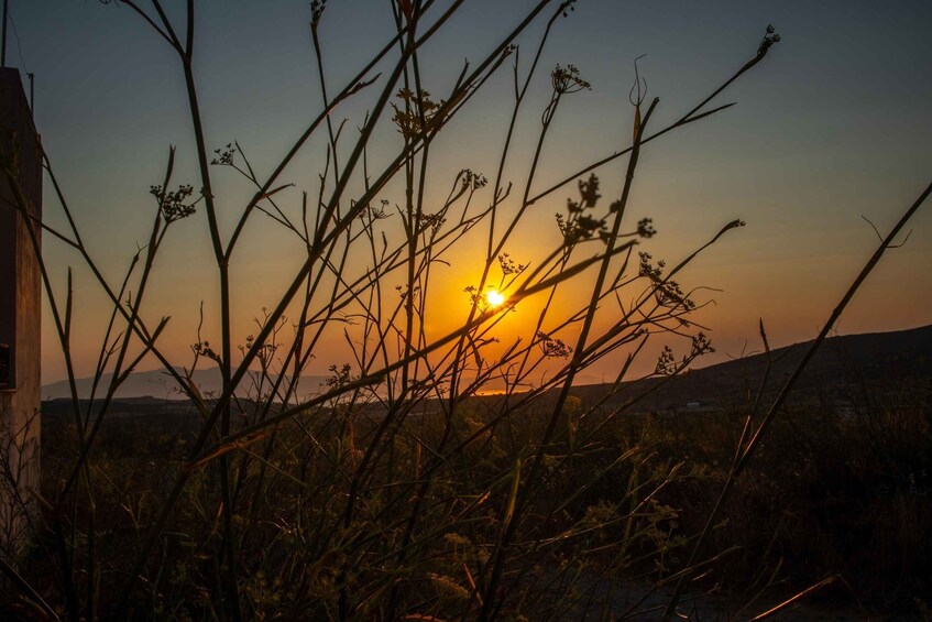 Picture 2 for Activity Naxos: Photography session for 2 hours. . .