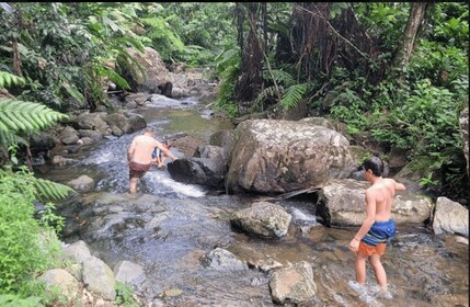 ¡Excursión privada a la cascada y la selva tropical el mismo día!