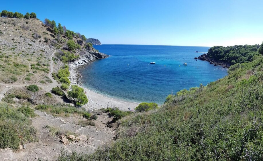 Picture 4 for Activity From Roses: Cap Norfeu Glass Bottom Boat Tour & Tamariu Cave