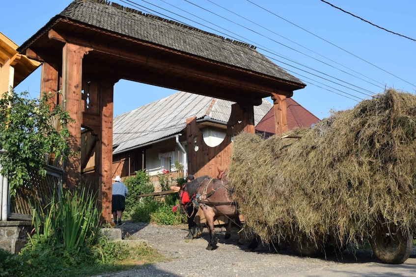Picture 7 for Activity Maramures day tour (from Cluj-Napoca)