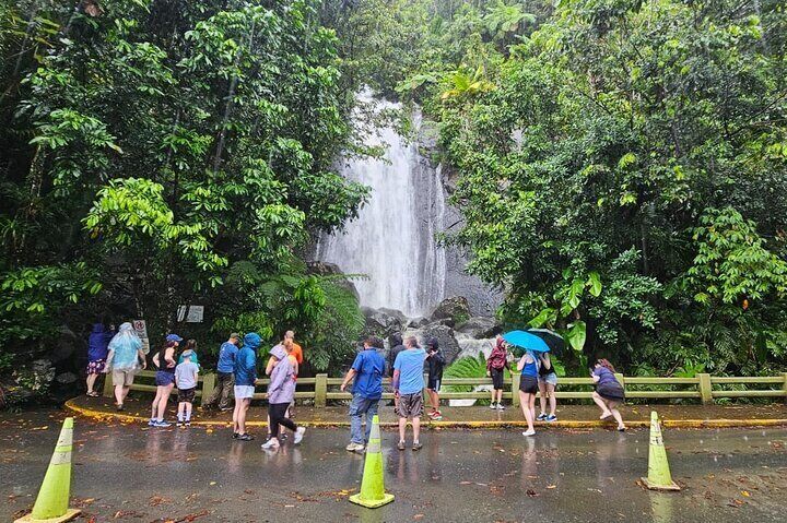 El Yunque National Forest and Luquillo Kiosks Combo