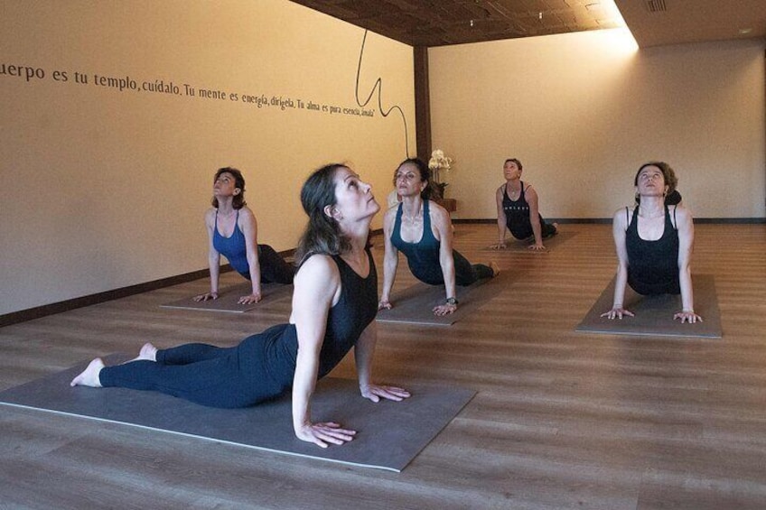 Yoga Sessions in Alicante