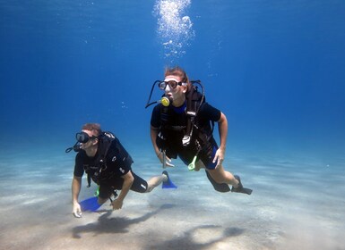 Kos: buceo para principiantes desde la playa con camioneta