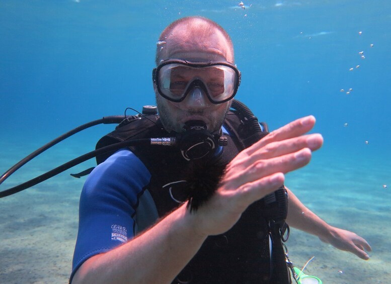 Picture 6 for Activity Kos: Beginner Scuba Diving from the Beach with pickup