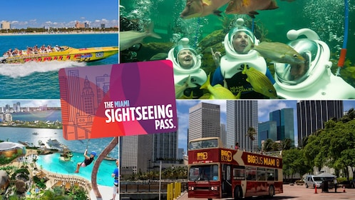 The Miami Sightseeing Flex Pass + Ft. Lauderdale