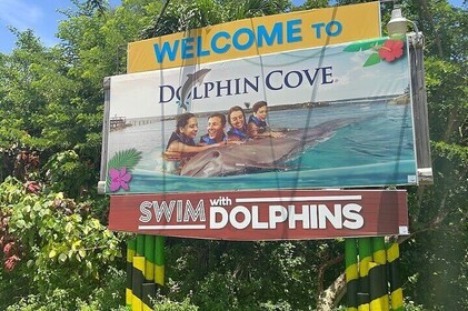 Private Transport to/from Dolphin Cove in Montego Bay