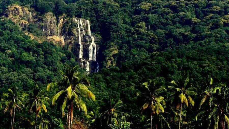 Udzungwa National Park