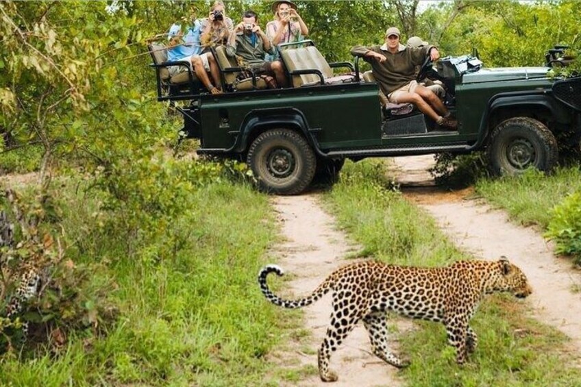 Kruger National Park 4 Day Safari from Johannesburg and Pretoria