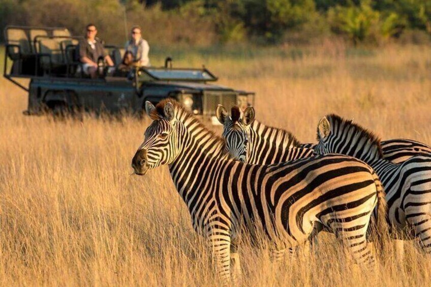 Kruger National Park 4 Day Safari from Johannesburg and Pretoria