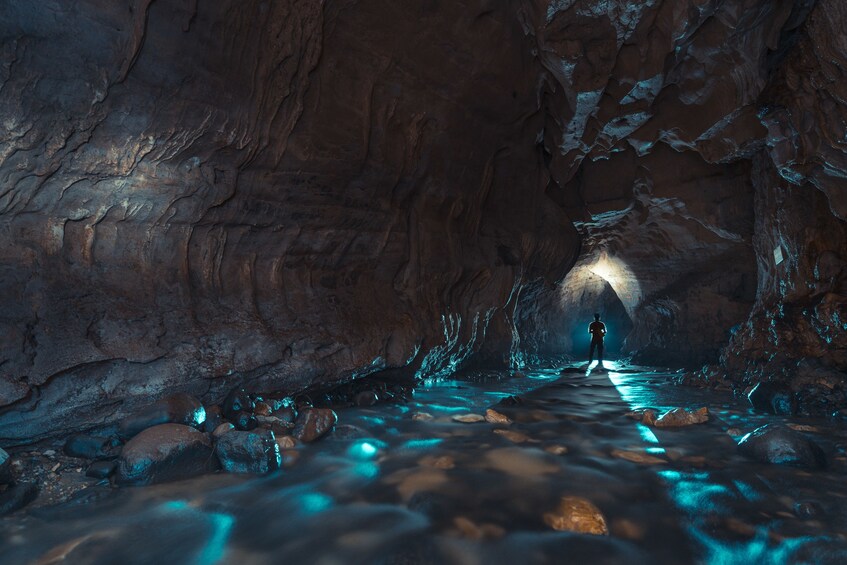 View inside the Venado Caves