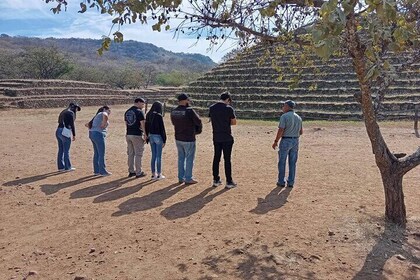 Group Tour Guachimontones and Teuchitlán
