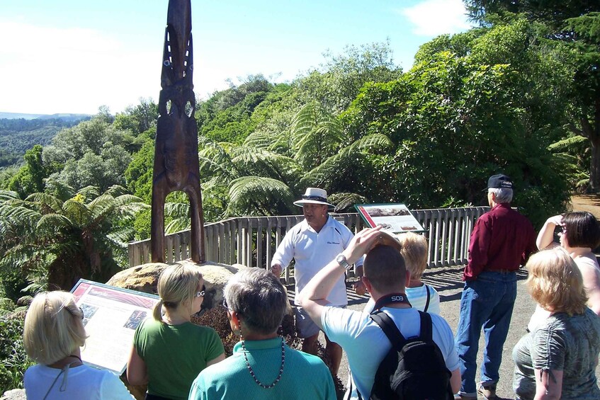 Picture 1 for Activity Maori Culture Small Group Afternoon Tour including Te Puia