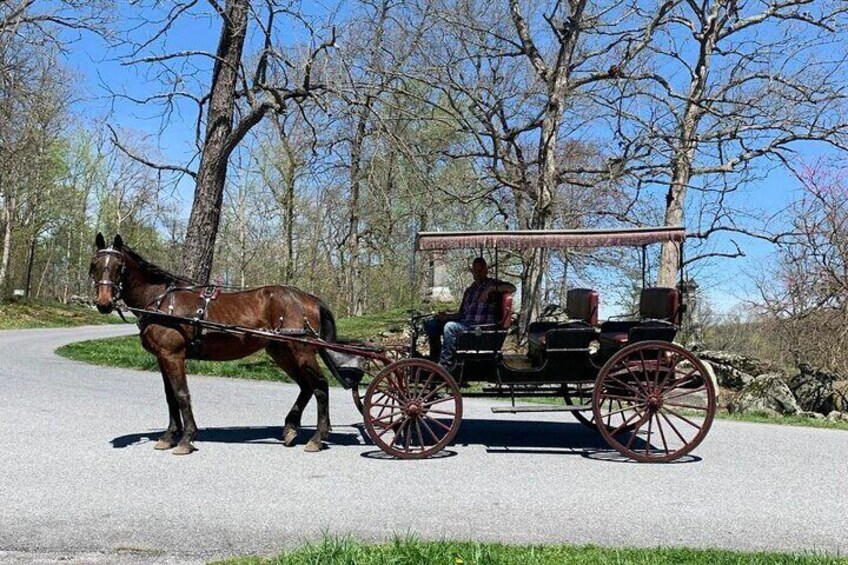 Gettysburg's Culp Hill Scenic Carriage Ride