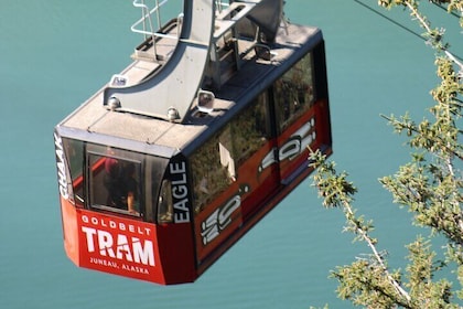 Trails and Ale Tour and Tram Combo