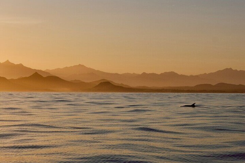 Sunset Cruise in San Jose del Cabo